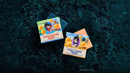 DRAGON BALL Z DUO - US 5408