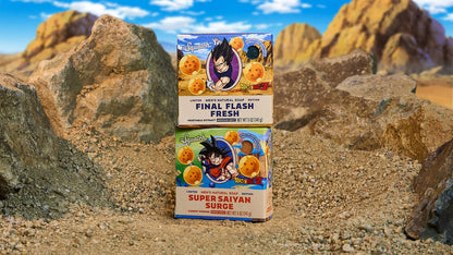 DRAGON BALL Z DUO - US 5408