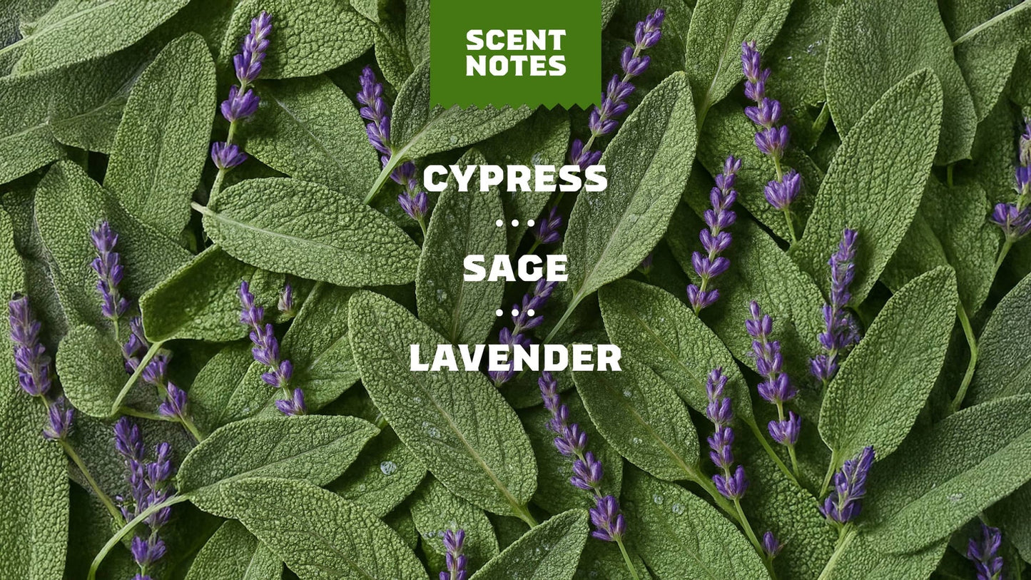 ALPINE SAGE - US 7634