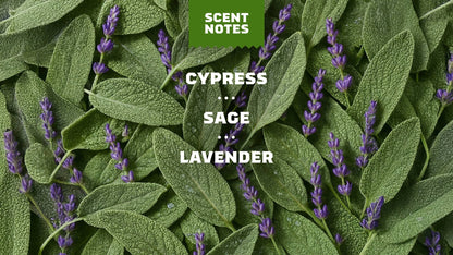 ALPINE SAGE - US 7634