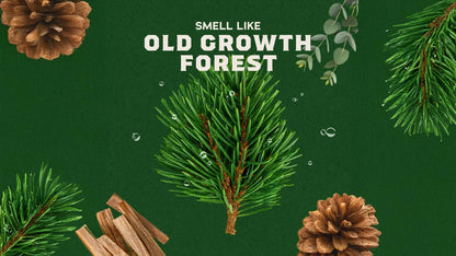 PINE TAR - US 2540